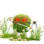 the bush people