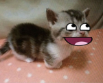 uwusofi
