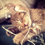 Its_enzo pookies:3