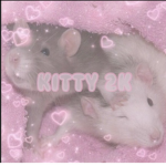 Kitty2k