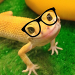 Gecko Geeks