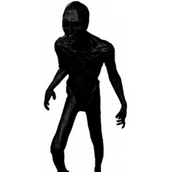 SURVIVE FROM SCP-?????? [NEW GAME]
