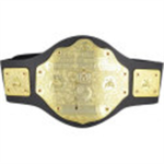 wwe superstars (if u like wwe join)