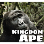 The Ape Kingdom