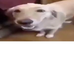 i see u pee