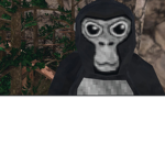 Gorilla Tag Group!