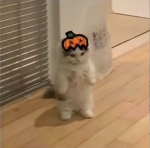 ukiyo...