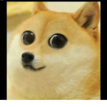 Mo cap's dancing doge's
