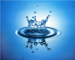 W.A.T. (Water Aquatic Team)