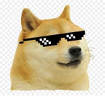DOGE CREATES