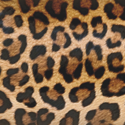 Leopard Print Gyaru Fur