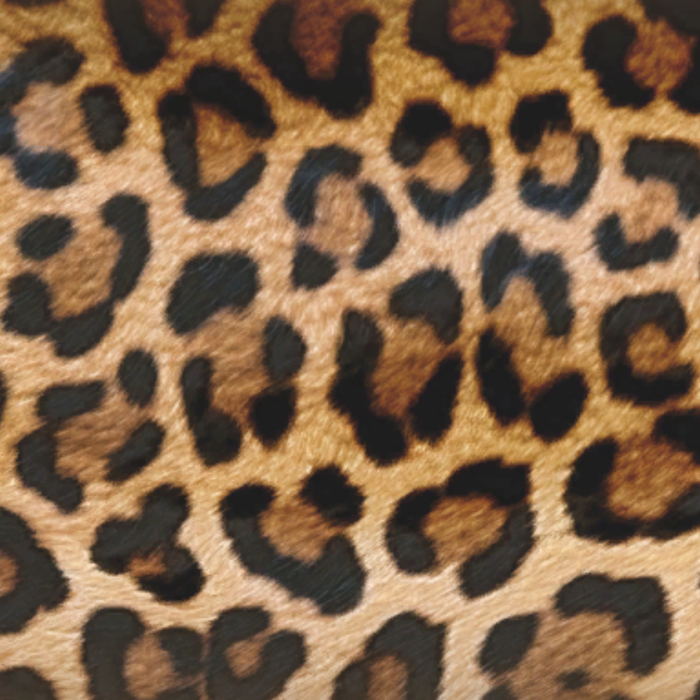 Leopard Print Gyaru Fur