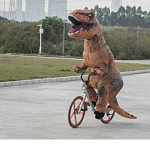 Dinoboy groupings
