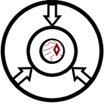 《[SCPF] Intelligence Agency