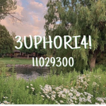 3uphori4!
