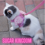 ʚɞ Sugar Kingdom ʚɞ