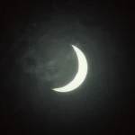 ୨ MOONLIGHT ৎ Group Thumbnail
