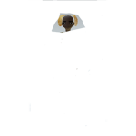 Dog people of robloxia