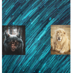 Wolves and Lions gang studio
