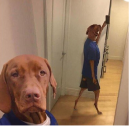 (run)