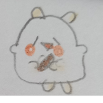 니콘님 팬그룹
