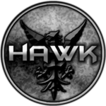 Hawk Assault Team