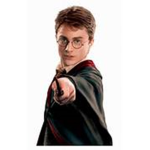 Harry Potter Wizards Clan