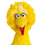 Big Bird group