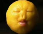 T H E C A C T U S