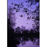 Purple Heart life
