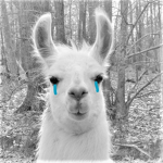 save the llamas