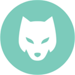 Team Wolven