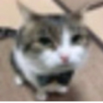 mple
