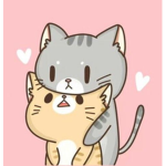 Amazing Cats :D