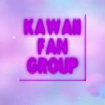 Kawaii fan group