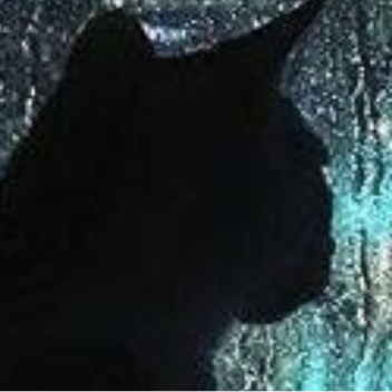 ⁎