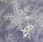 yuu’s snowflakes !