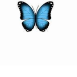 butterfly group <3