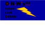 The DNWs!!!! (the deadly ninga warriors)