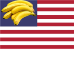 for johncenasvr1
