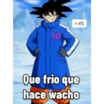 forros