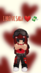 I BRO DI SARA