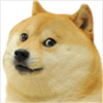 Doge party forever
