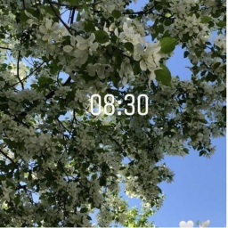 ୨୧
