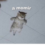 Aesthic :3