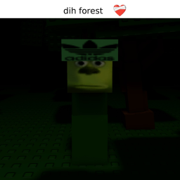 di forest❤️‍🩹 icon