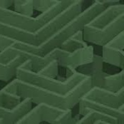 The Maze