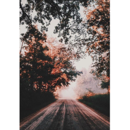 𝘆𝗼𝘂
