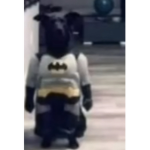 Batdog
