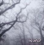 lowhp